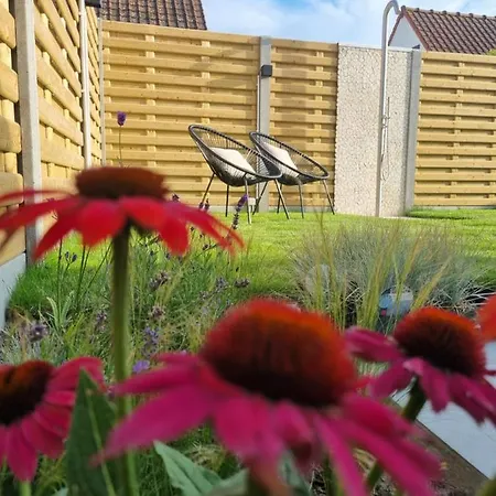 Hébergement de vacances Vakantiewoning 266 *