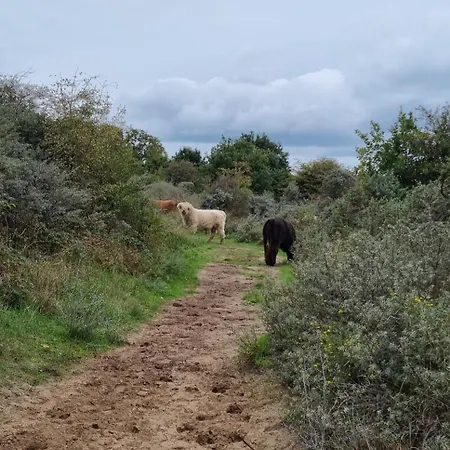 Hébergement de vacances Vakantiewoning 266